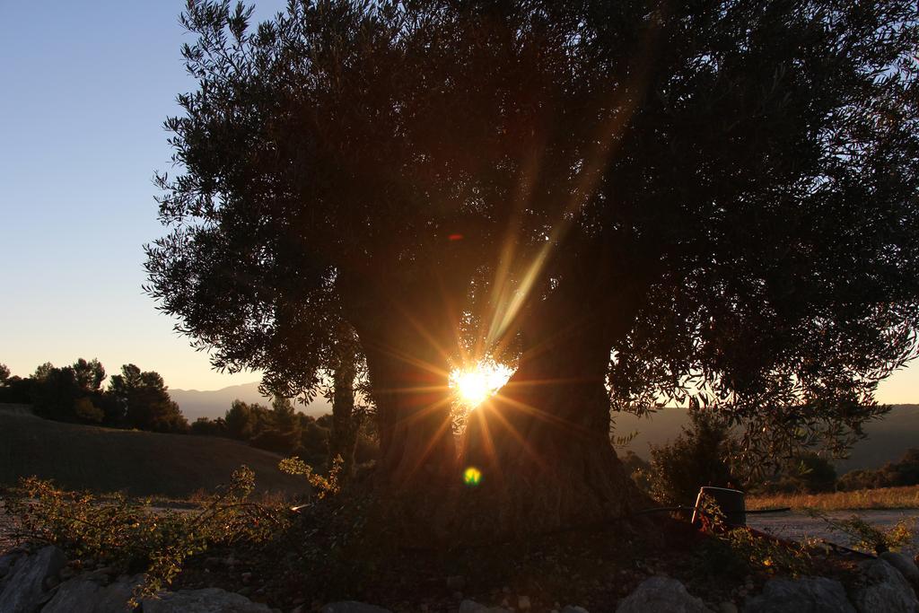 מלון Entrevennes La Campagne De Petre מראה חיצוני תמונה