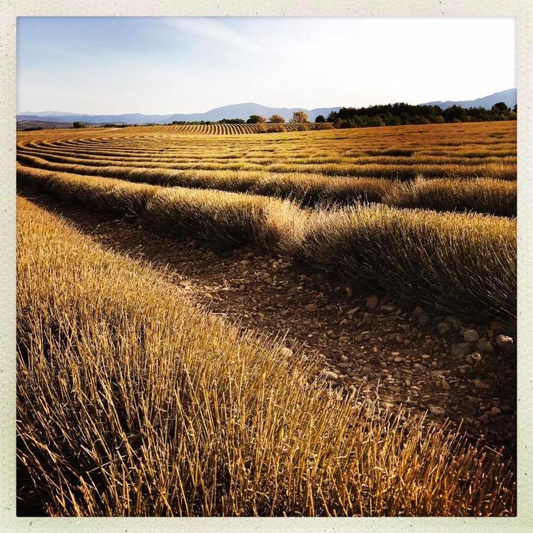 מלון Entrevennes La Campagne De Petre מראה חיצוני תמונה